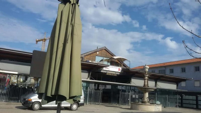 From Porto: Aveiro & Coimbra Tour with Moliceiro Boat Cruise - Lunch Options and Flexibility During the Day