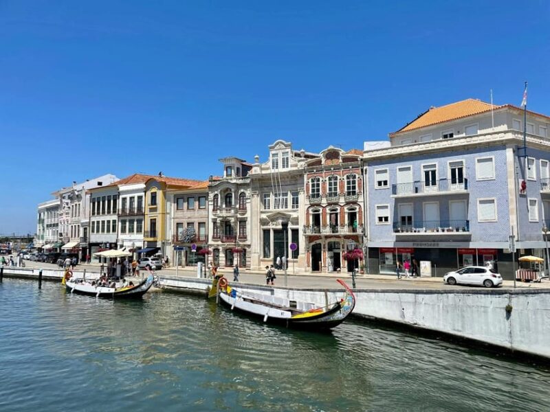 From Porto: Aveiro Half Day Tour - Explore Aveiro’s Vibrant Streets and Colorful Houses