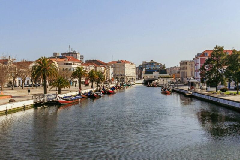 From Porto: Aveiro Half Day Tour - Who Will Most Appreciate This Tour
