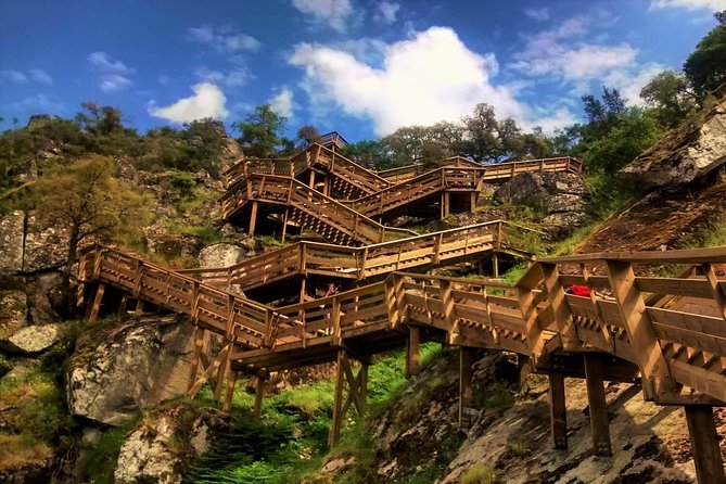 From Porto: Aveiro, Paiva Walkways, Suspension Bridge and Lunch - Key Points