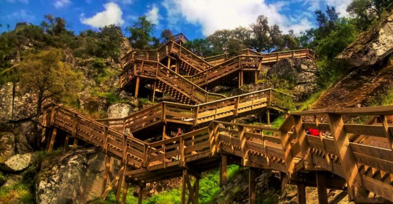 From Porto: Aveiro, Paiva Walkways, & Suspension Bridge Tour - Key Points