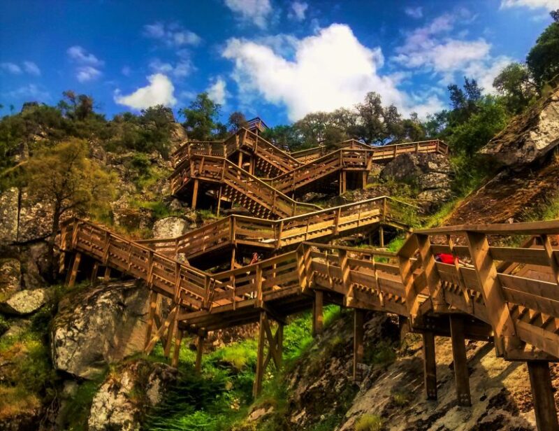 From Porto: Aveiro, Paiva Walkways, & Suspension Bridge Tour - Discovering Aveiro, the “Portuguese Venice”