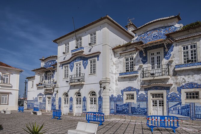From Porto: Aveiro Private Day Trip - Guided Commentary and Local Insights
