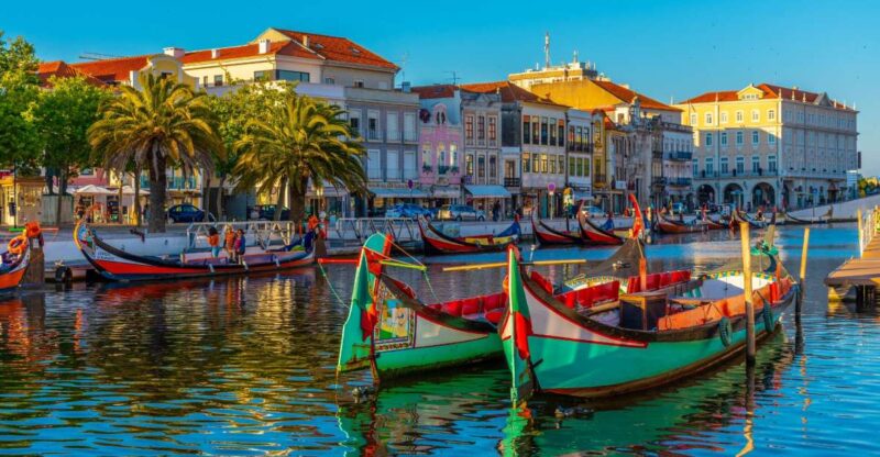 From Porto: Aveiro Private Guided Day Trip - Exploring Aveiro’s Historic Downtown and Canals