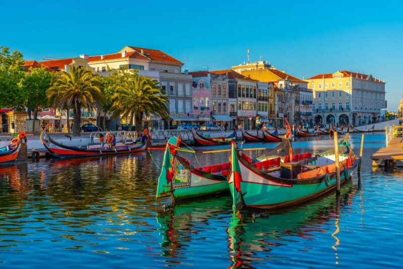 From Porto: Aveiro Private Guided Day Trip - Traditional Moliceiro Boats and a Ria de Aveiro Cruise