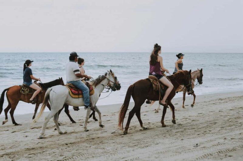From Porto: Beach Horse Ride + Hotel Transfer - Discover the Unique Beach Horse Ride from Porto