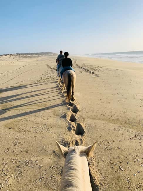 From Porto: Beach Horse Ride + Hotel Transfer - The Photo Stop and Free Time