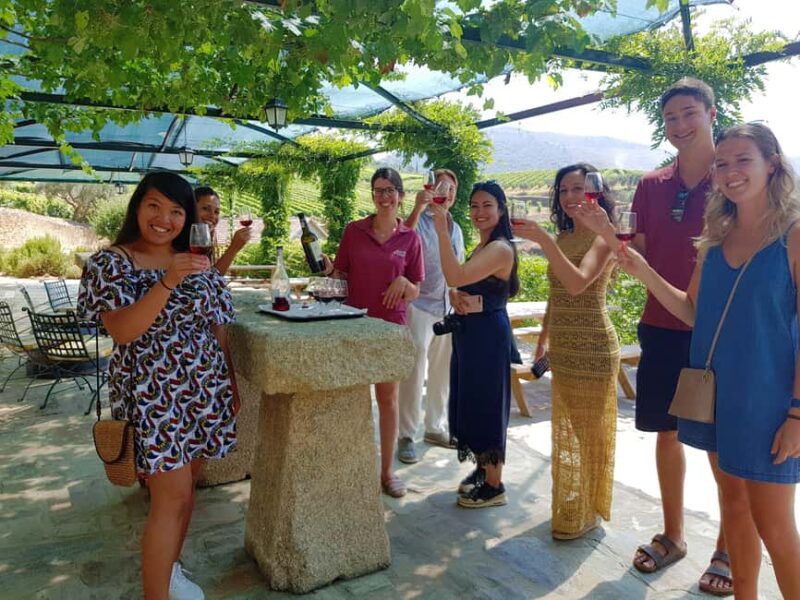From Porto: Douro Valley 3 Vineyards Tour with Lunch - Experience the Douro Valley on a Full-Day Tour from Porto