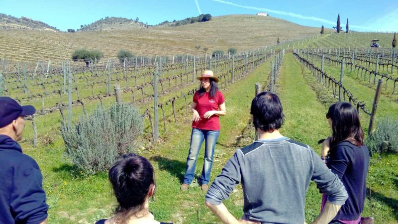 From Porto: Douro Valley 3 Vineyards Tour with Lunch - Exploring the First Vineyard with a Guided Tour