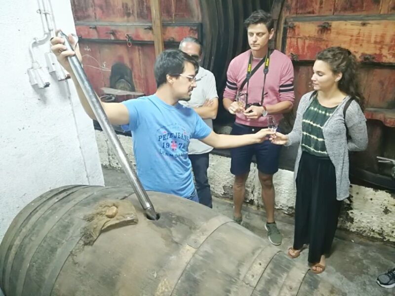 From Porto: Douro Valley 3 Vineyards Tour with Lunch - Return Journey and Drop-off in Porto