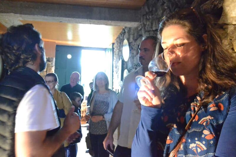 From Porto: Douro Valley 3 Vineyards Tour with Lunch - The Logistics and Group Experience