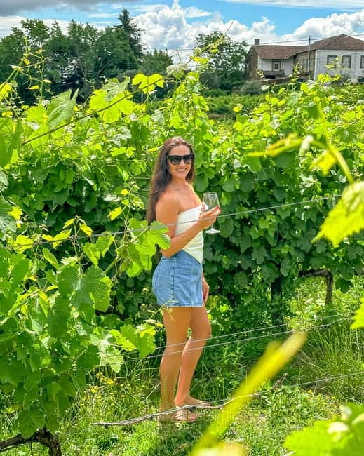 From Porto: Douro Valley Private Tour w/ 3 Wineries & Lunch - Discover the Best of Douro Valley on a Private Tour from Porto