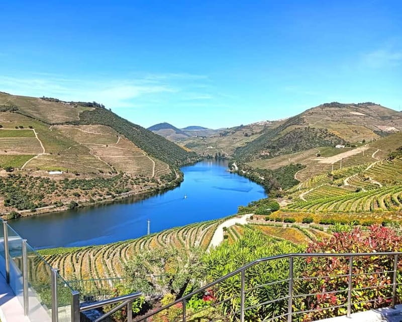 From Porto: Douro Valley Private Tour w/ 3 Wineries & Lunch - Key Points