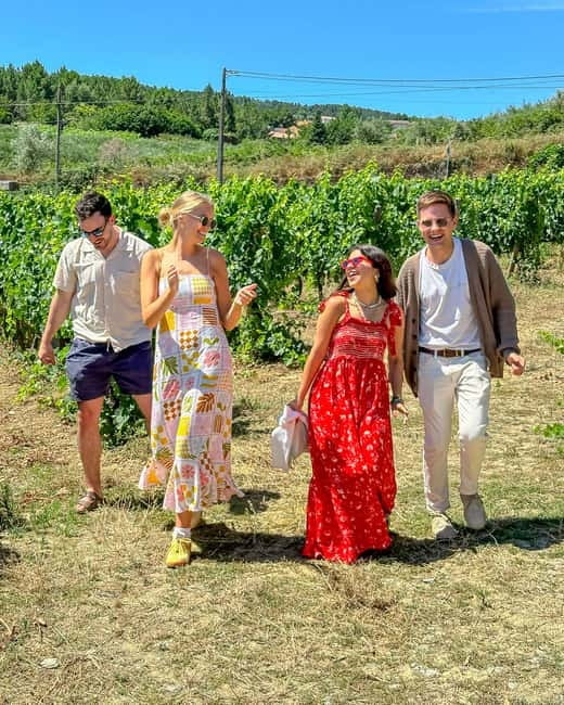 From Porto: Douro Valley Private Tour w/ 3 Wineries & Lunch - Exploring a Family-Owned Estate in Sabrosa