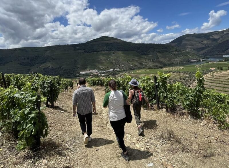 From Porto : Douro Valley sightseeing with 1 Winery Visit - What the Tour Doesnt Cover