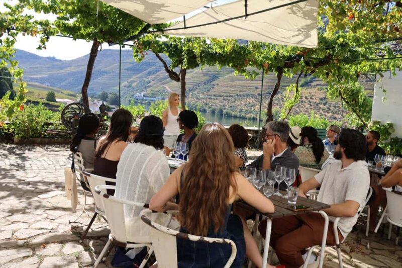 From Porto : Douro Valley sightseeing with 1 Winery Visit - Honest Considerations and Tips