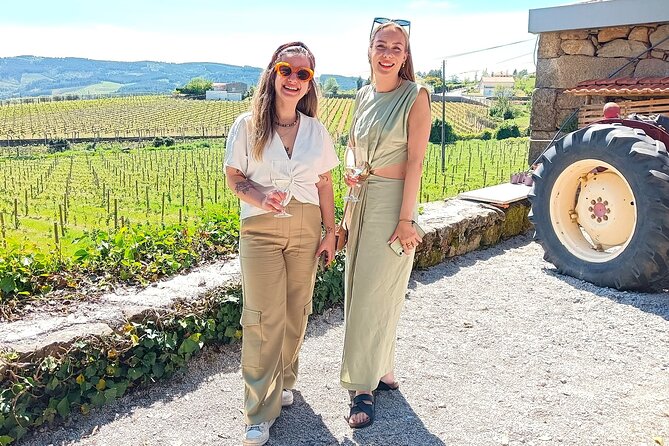From Porto: Douro Valley Tour with 2 Wineries, Lunch and Cruise - Scenic Boat Ride on the Douro River