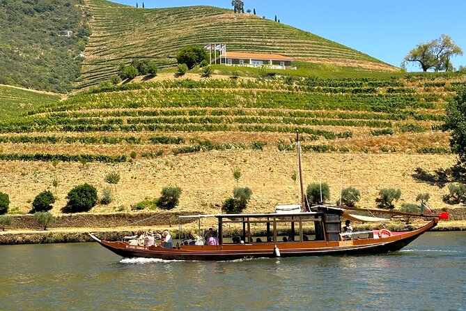 From Porto: Douro Valley Tour with 2 Wineries, Lunch and Cruise - The Guide’s Role and Small Group Experience