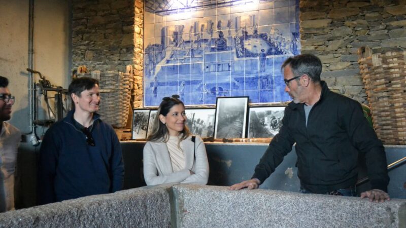 From Porto: Douro Valley Tour with Tastings, Boat & Lunch - The Pacing and Logistics of the Tour