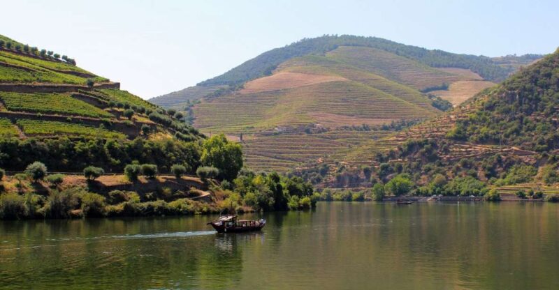 From Porto: Douro Valley Tour with Tastings, Boat & Lunch - Practical Tips for Participants