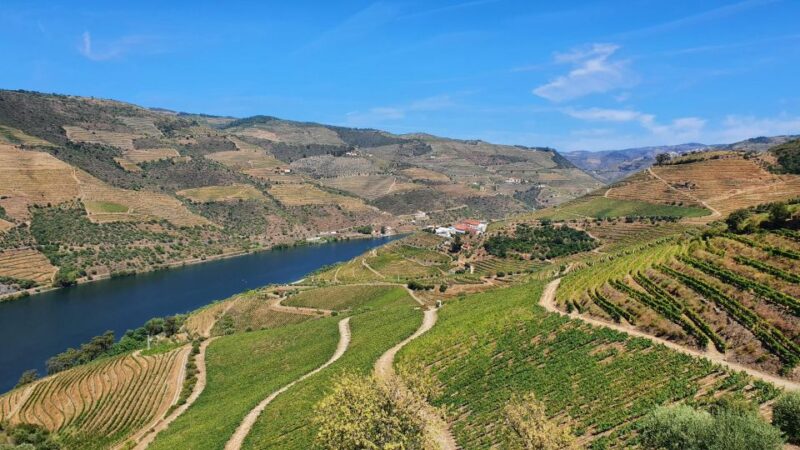 From Porto Douro Valley Tour with Train and Vinho Verde - The Iconic N222 Road Drive for Stunning Vistas