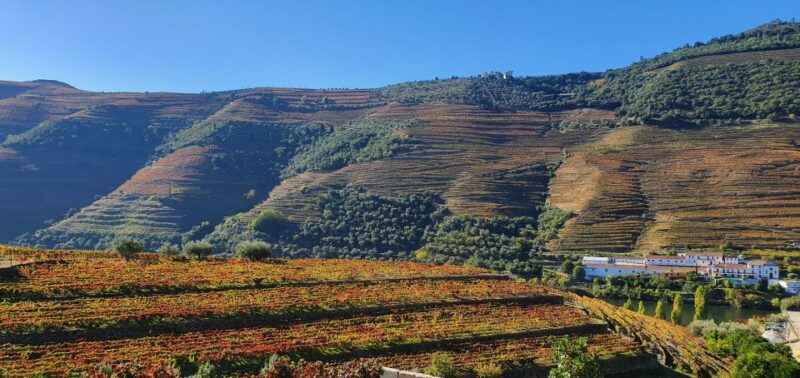 From Porto Douro Valley Tour with Train and Vinho Verde - Visiting Pinhão and the Surrounding Vineyards