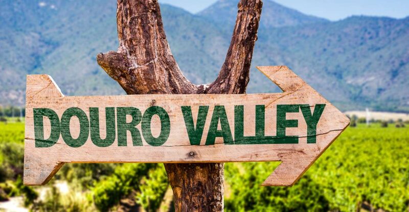 From Porto: Douro Valley w/ Boat Tour, Wine Tasting & Lunch - Lunch in a Douro Wine Cellar: Regional Flavors and Wines