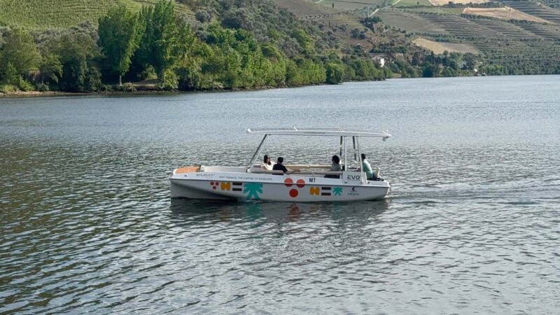 From Porto: Douro Valley, Wine Tasting, Boat, Wine Lunch, Exclusive - Discover the Authentic Douro Valley in a Full-Day Tour from Porto