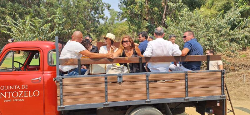 From Porto: Douro Valley, Wine Tasting, Boat, Wine Lunch, Exclusive - Itinerary Breakdown: A Well-Structured Day