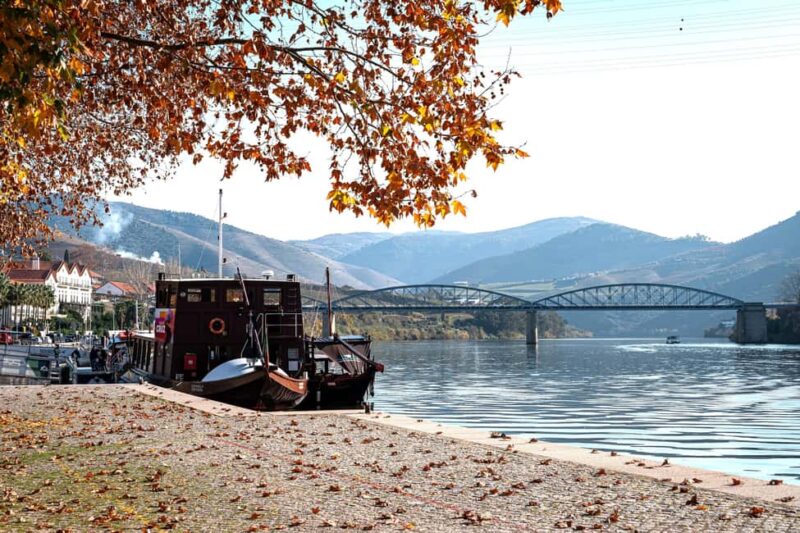 From Porto: Douro Valley Wine Tour with Lunch & River Cruise - Key Points