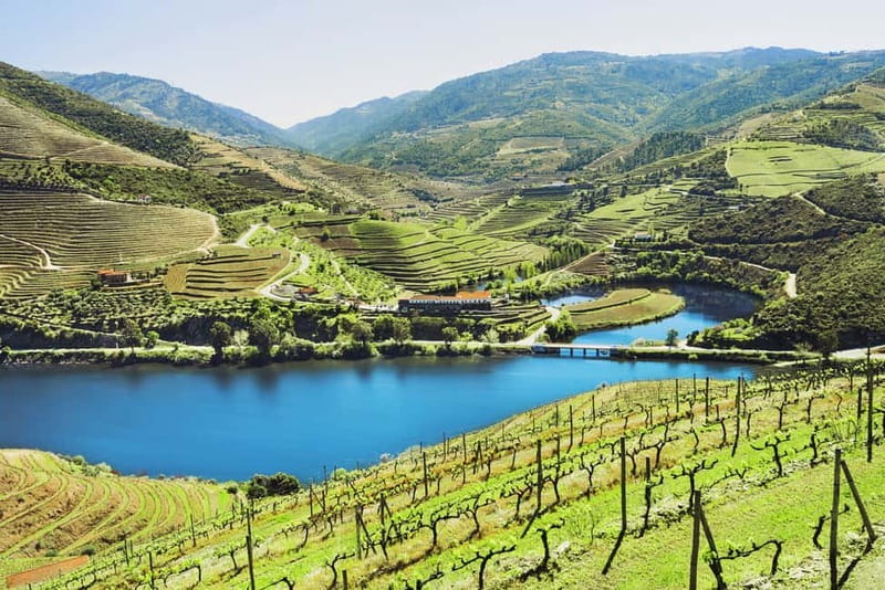 From Porto: Douro Valley Wine Tour with Lunch & River Cruise - Visiting Two Family-Run Wineries with Tasting Experiences