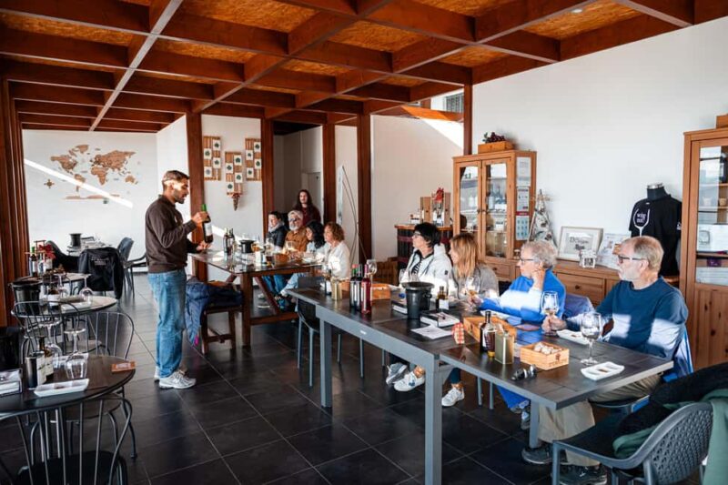 From Porto: Douro Valley Wine Tour with Lunch & River Cruise - Relaxing 50-Minute River Cruise in Pinhão