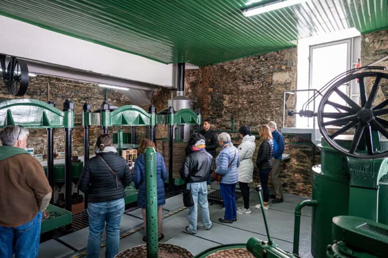 From Porto: Douro Valley Wine Tour with Lunch & River Cruise - Logistics: Convenience and Additional Information