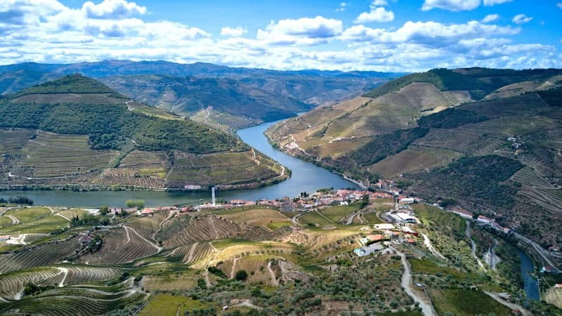 From Porto: Douro Valley Wine Tour with Lunch & River Cruise - Value for Money and Flexibility