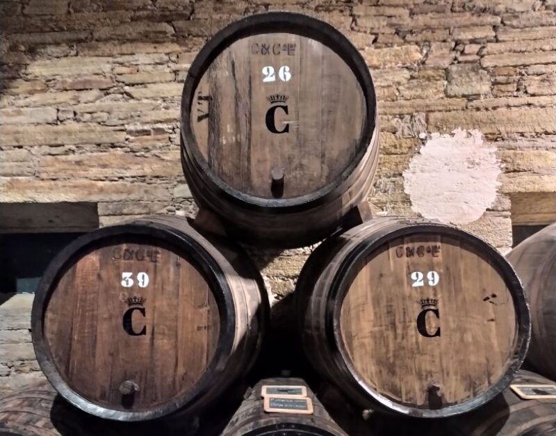 From Porto: Douro Valley Wine Tour with River Cruise & Lunch - Flexibility and Special Arrangements