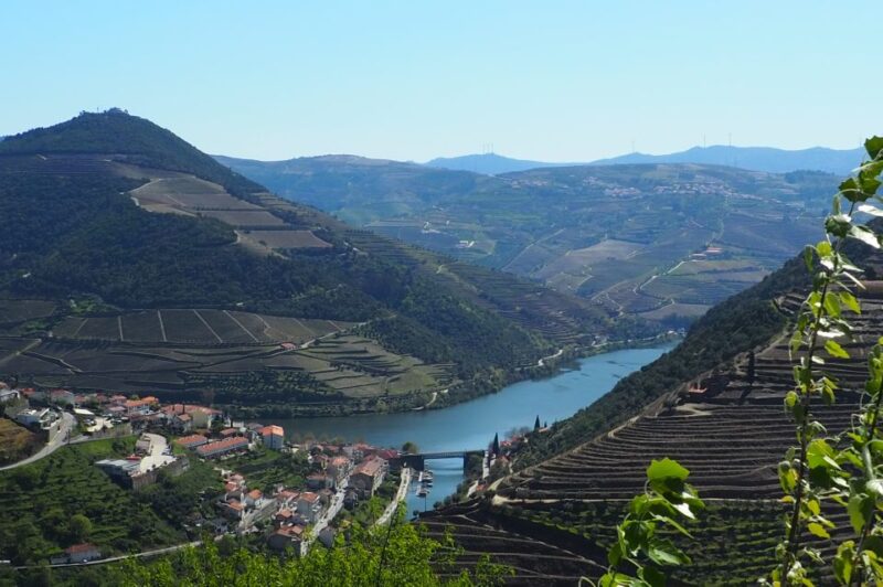From Porto: Douro Valley Wine Tour with River Cruise & Lunch - Comparing to Similar Douro Valley Tours