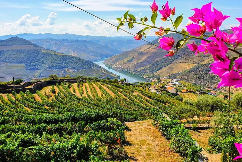 From Porto: Douro Valley with Wineries, Lunch and Boat Trip - The Tour Starts at Igreja da Lapa or Hotel Pickup in Porto