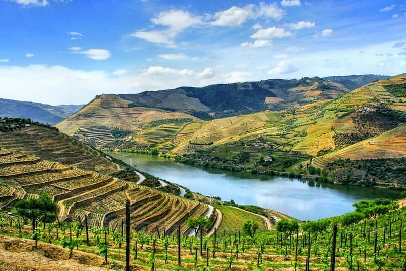 From Porto: Douro Valley with Wineries, Lunch and Boat Trip - Visiting Quinta do Seixo: Sandeman’s Esteemed Estate