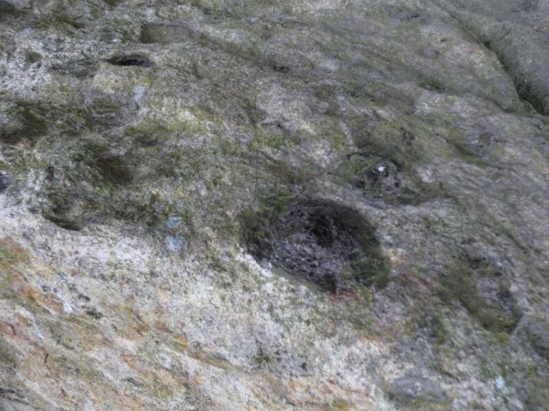 From Porto: Freita Mountain [Arouca Geopark]- Jeep Tour - Unique Aspects That Set This Tour Apart