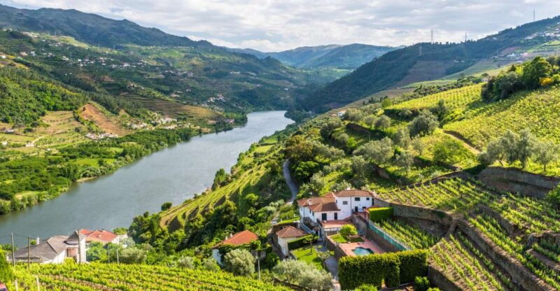 From Porto: Full-Day Douro Historical Tour - Visiting the Historic Town of Amarante and Saint Gonçalo Monastery