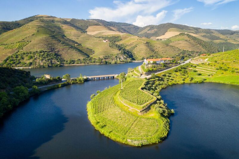 From Porto: Full-Day Douro Valley Trip - Savor a Traditional Portuguese Lunch in Pinhão