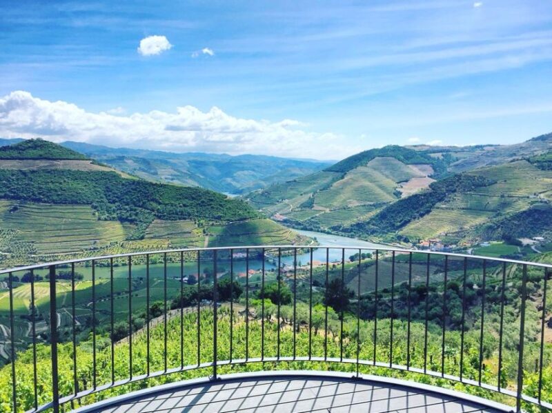 From Porto: Full-Day Douro Valley Trip - Visiting Pinhão: A Picturesque Vineyard Village