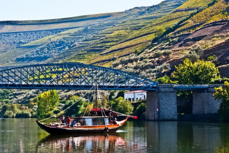 From Porto: Full-Day Douro Valley Trip - Logistics and Group Experience