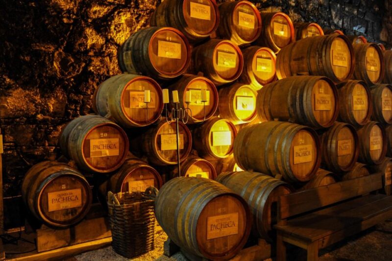 From Porto: Full-Day Douro Valley Trip - Potential Improvements and Considerations