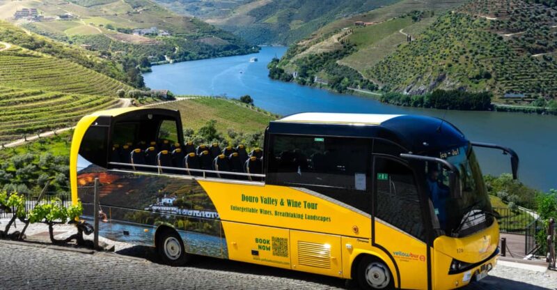 From Porto: Full-Day Douro Valley & Wine Tour with Lunch - The Departure Point and Schedule