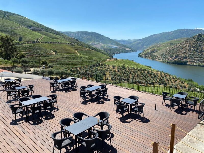 From Porto: Full-Day Douro Valley & Wine Tour with Lunch - Wine Tasting at Quinta São Luiz