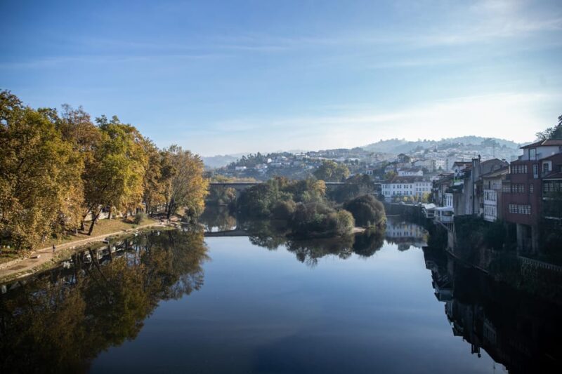 From Porto: Full-Day Douro Valley & Wine Tour with Lunch - Transport and Group Experience