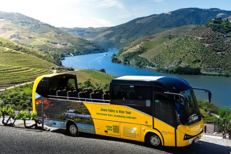 From Porto: Full-Day Douro Valley & Wine Tour with Lunch - The Small Gift and Overall Value