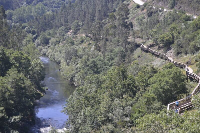 From Porto: Full-Day Paiva Walkways Tour with DOP Beef lunch - Discover the Full-Day Paiva Walkways Tour from Porto for $123