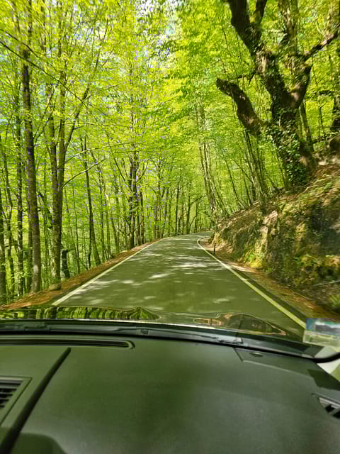 From Porto: Full-Day Tour in Gerês National Park - Visiting the UNESCO Protected Mata de Albergaria